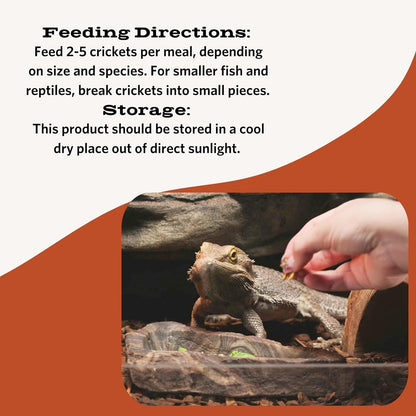 Fluker's Freeze Dried Crickets, Ideal for Reptiles, Birds, and Fish, Packed with Protein and Essential Nutrients, 1.2 oz