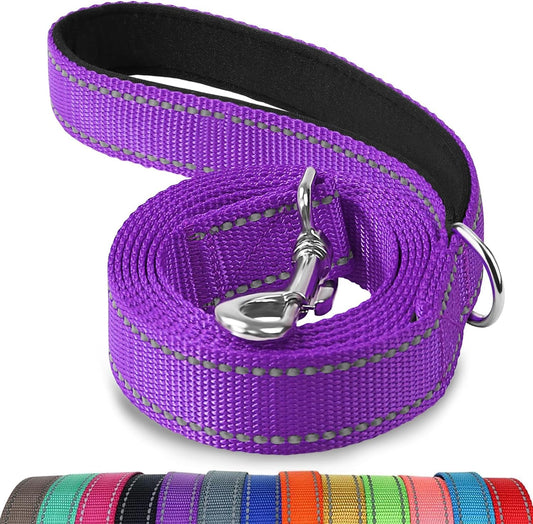 Joytale Double-Sided Reflective Dog Leash, 6 FT/5 FT/4 FT, Padded Handle Nylon Dogs Leashes for Medium & Large Dogs Walking, Purple, 5FT