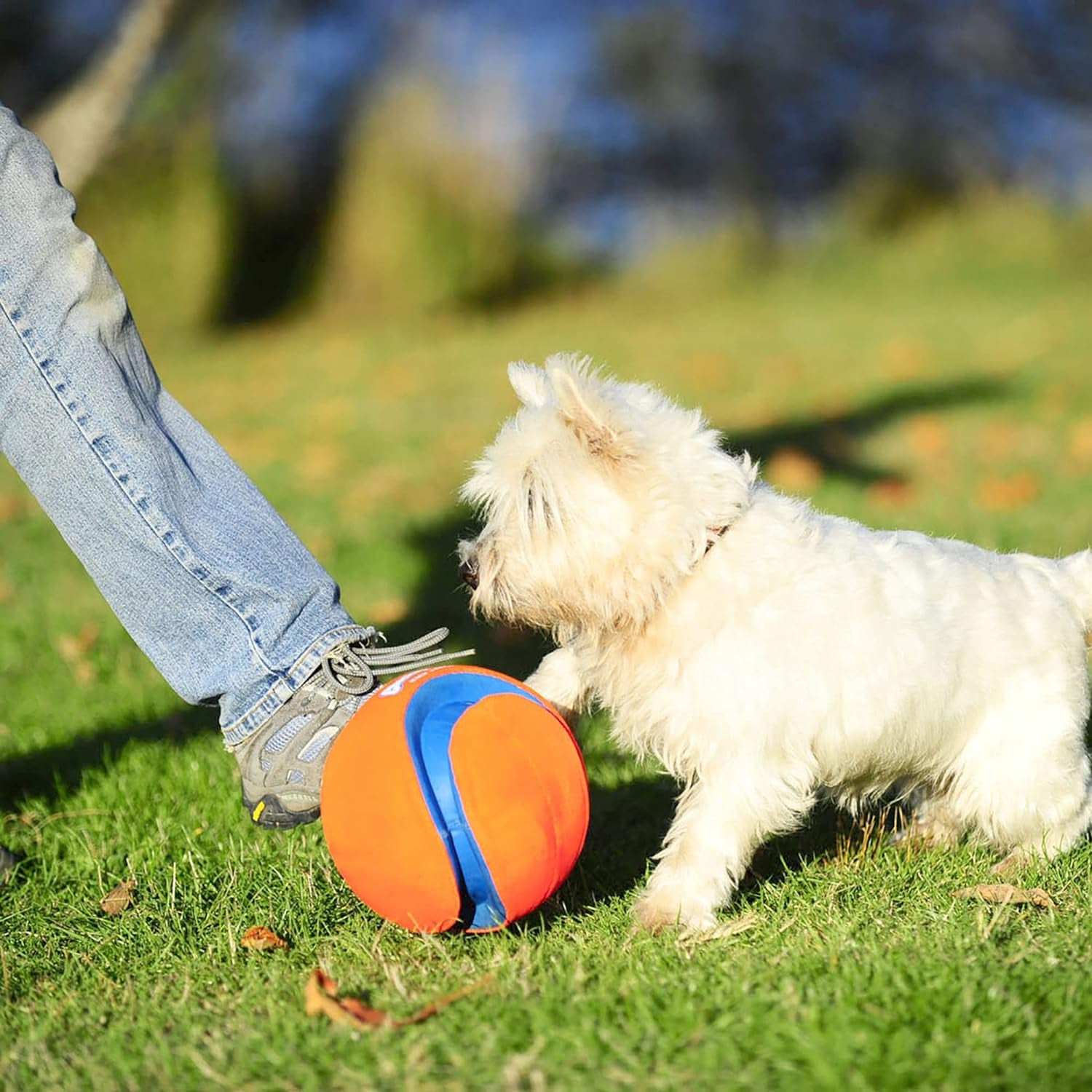 Chuckit! Kick Fetch Ball Dog Toy (6 Inch) and Chuckit! Indoor Fetch Ball Dog Toy (4.75 Inch), Orange and Blue