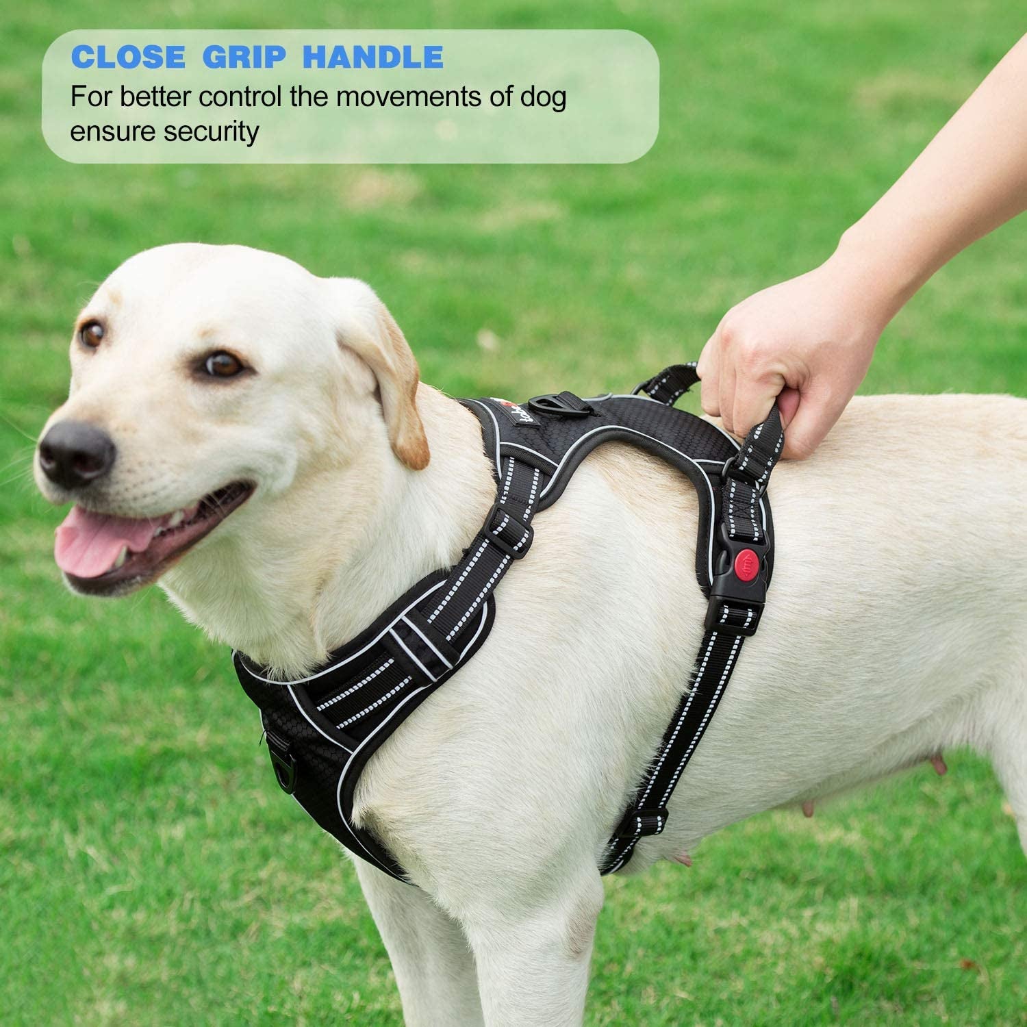 Tobedri No Pull Dog Harness Adjustable Reflective Oxford Easy Control Medium Large Dog Harness with a Free Heavy Duty 5Ft Leash