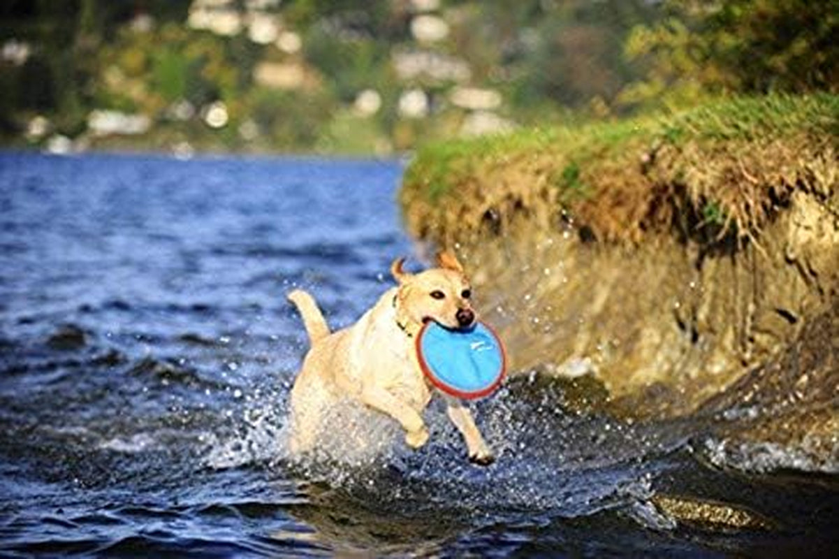 Chuckit! Paraflight Flying Disc Dog Toy, Small (6.75"), Orange and Blue