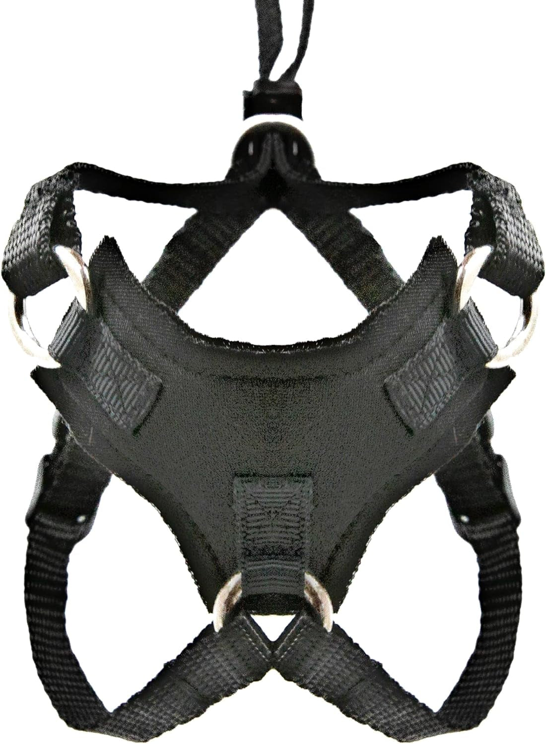 Houdini™ Escape Resistant Kitten Harness and Leash Set by Outdoorbengal for Walking Kittens (S)