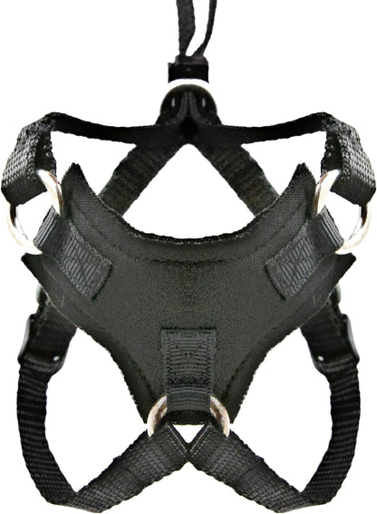 Houdini™ Leather Escape Resistant Kitten Harness and Leash Set - by Outdoorbengal for Walking Kittens (S)