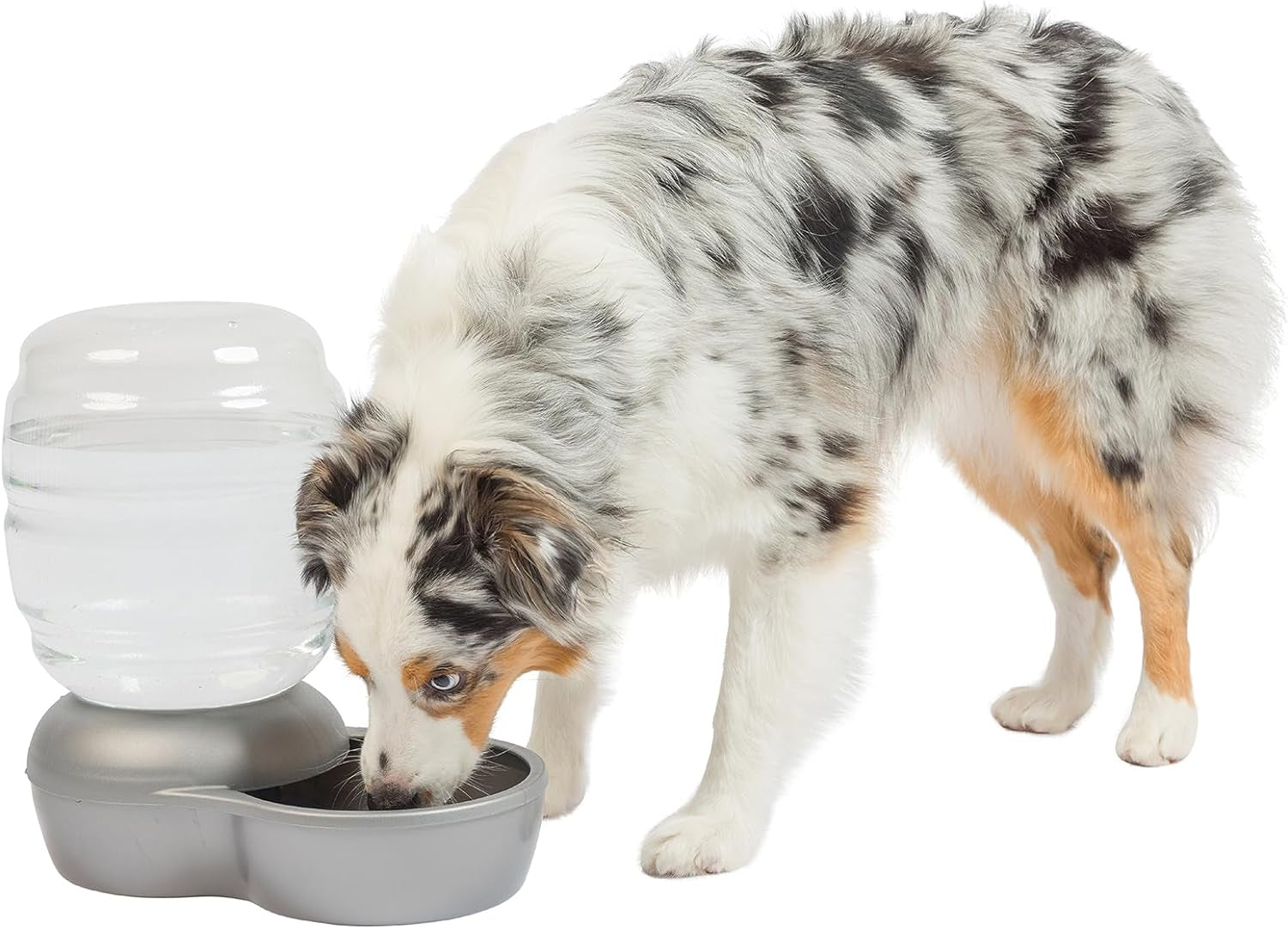 Petmate Replendish Automatic Gravity Waterer for Cats and Dogs, Bpa-Free, No Batteries Required, Includes Charcoal Filter, 2.5 Gallons, Made in Usa,Silver