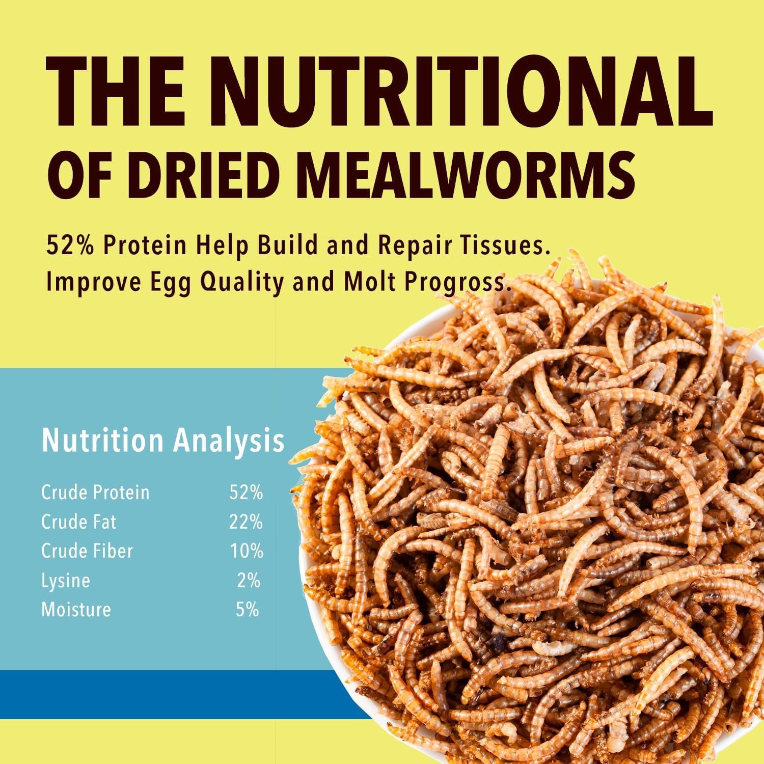 10lb Dried Mealworms for Wild Birds Premium Non-GMO Organic Chickens Feed, for Laying Hens,Ducks, Reptiles