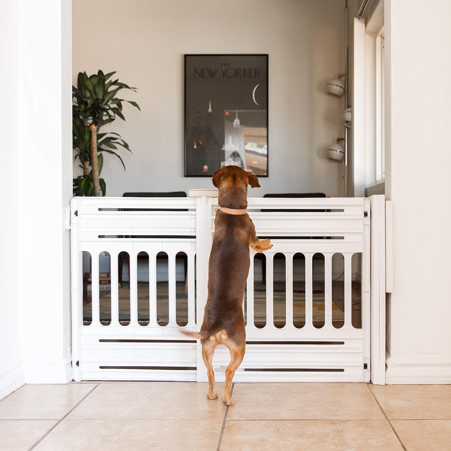 IRIS USA 24"-39" Portable Expandable Pet Gate, Adjustable Pet Barrier for Puppy Small Dog Fits Most Doorways Easy Twist-To-Lock Feature Heavy-Duty Molded Plastic 25" Tall, White