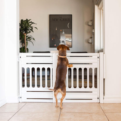 IRIS USA 24"-39" Portable Expandable Pet Gate, Adjustable Pet Barrier for Puppy Small Dog Fits Most Doorways Easy Twist-To-Lock Feature Heavy-Duty Molded Plastic 25" Tall, White