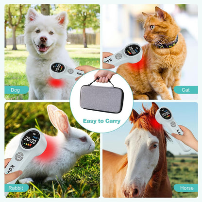 Cold Laser Therapy Device for Dogs,4x980nm+16x660nm+4x810nm Low Level Laser Therapy,Handheld Laser Therapy Device,Pet Laser Therapy for Dogs Cats Muscle & Joint Pain Relief,Reduce Inflammation