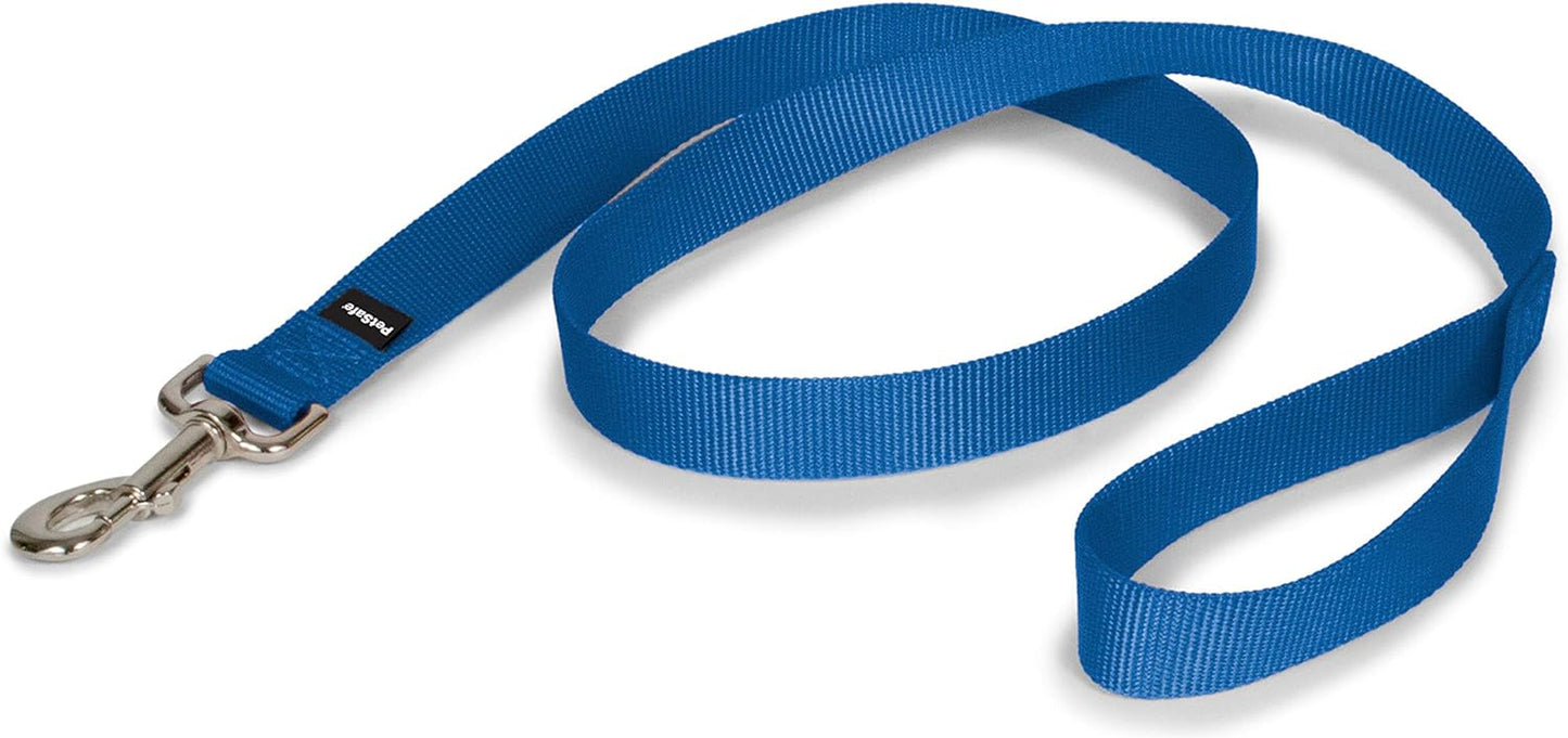 Petsafe Nylon Dog Leash - Strong, Durable, Traditional Style Leash with Easy to Use Bolt Snap - 1 In. X 4 Ft., Royal Blue