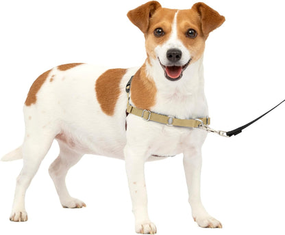 Petsafe Easy Walk No-Pull Dog Harness - the Ultimate Harness to Help Stop Pulling - Take Control & Teach Better Leash Manners - Helps Prevent Pets Pulling on Walks, Small, Fawn