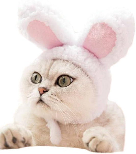 Cat/Dog Costume for Halloween, Parties and Pictures (Bunny)