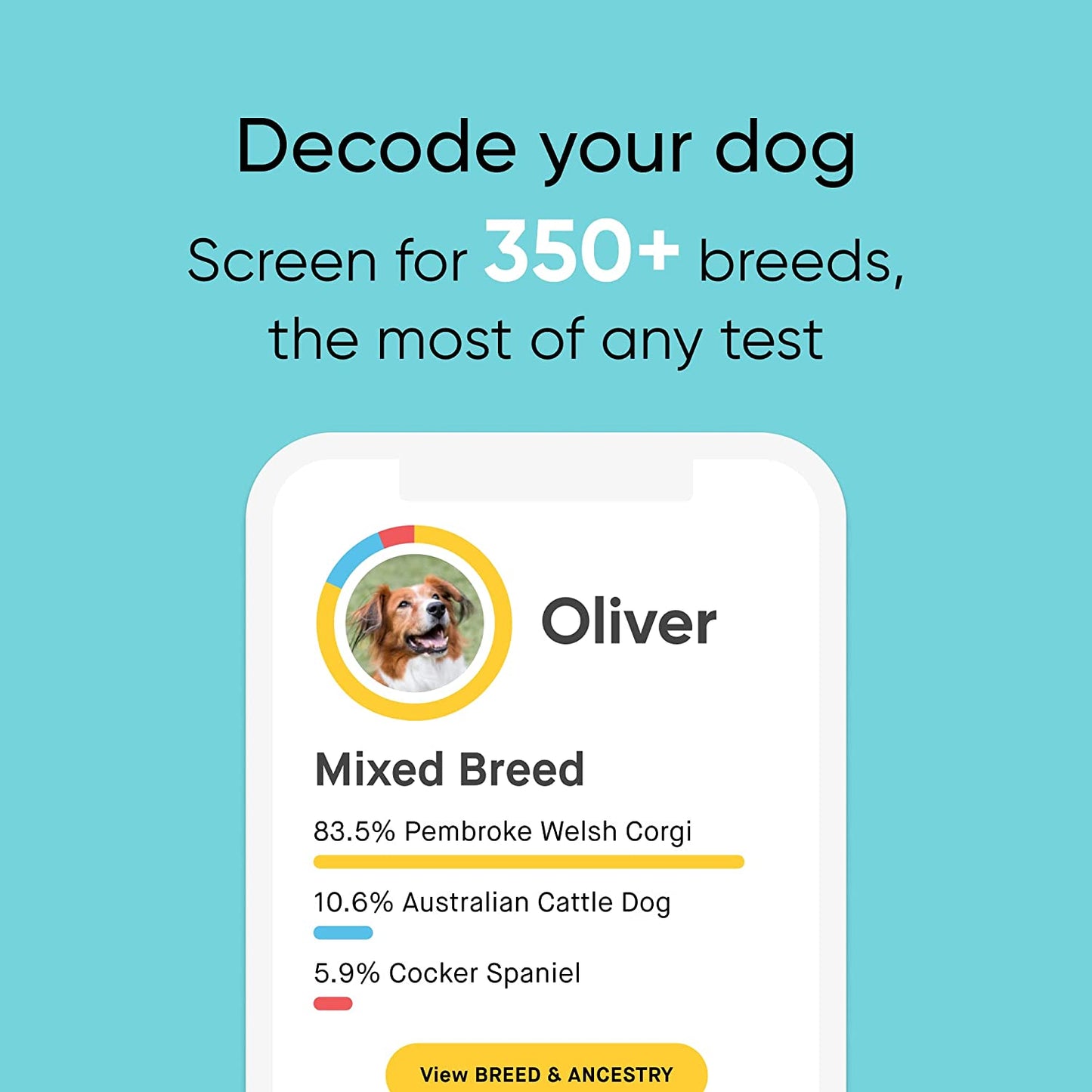 Embark Breed & Health Kit - Dog DNA Test - Discover Breed, Ancestry, Relative Finder, Genetic Health, Traits, COI