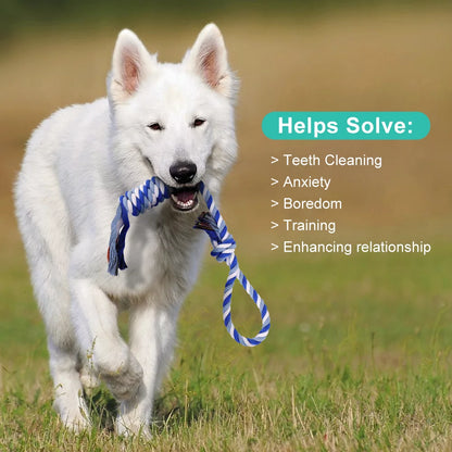 Plutus Pet Dog Chew Toys for Aggressive Chewers, 8 pack Interactive Washable Tough Teething Dog Rope Toys, for Puppies Small Medium Dogs