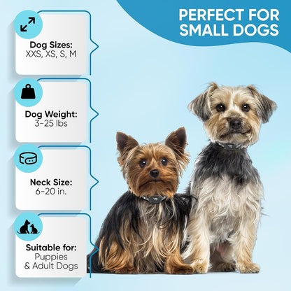 Tiny Bark Collar for Small Dogs 5-15 Lbs and Puppies - No Shock anti Barking Collar - Rechargeable Smart Collar for Dog Training with 7 Sensitivity Levels and 3 Beep&Vibration Modes