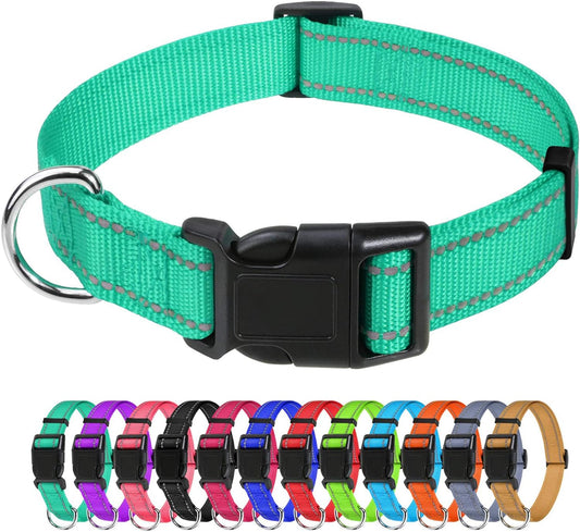 Tagme Reflective Nylon Dog Collars, Adjustable Classic Dog Collar with Quick Release Buckle for Large Dogs, Turquoise, 1.0" Width