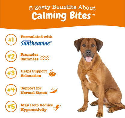 Zesty Paws Calming Chews for Dogs Composure & Relaxation for Everyday Stress & Separation Peanut Butter 50 Count