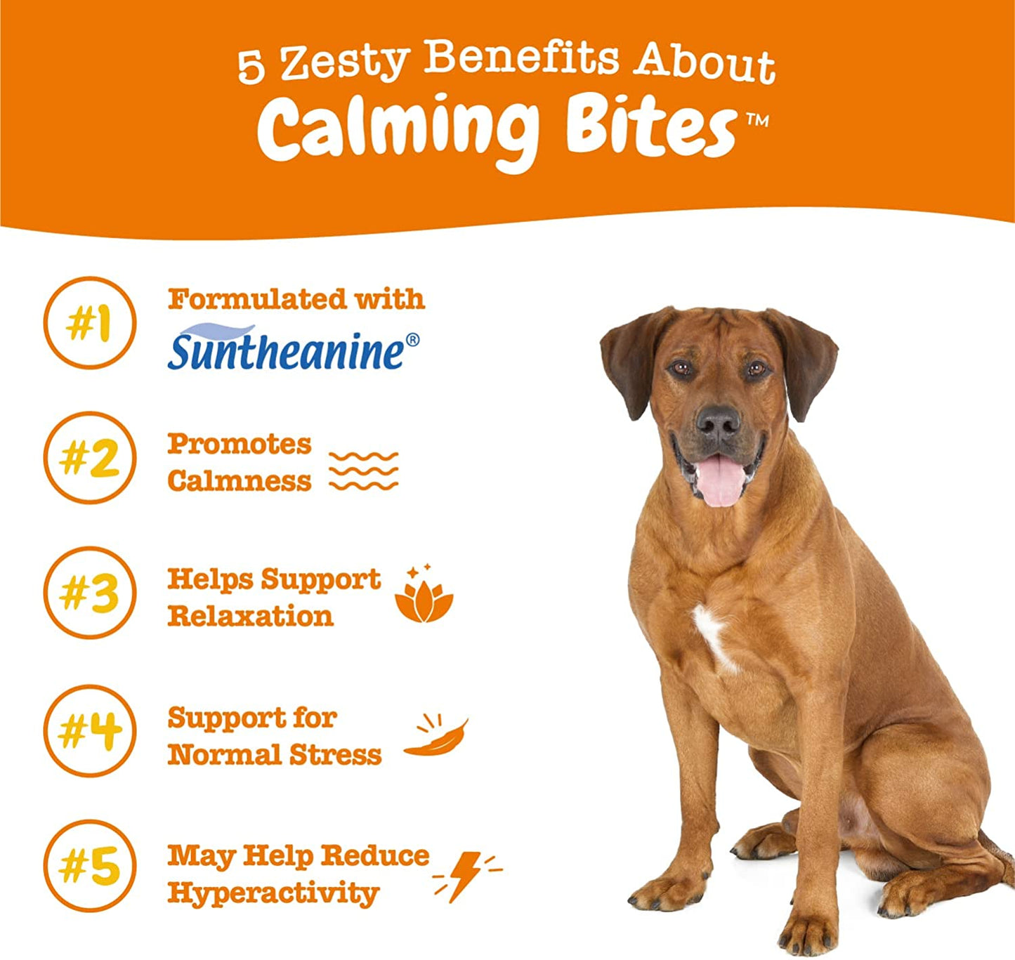 Zesty Paws Calming Chews for Dogs Composure & Relaxation for Everyday Stress & Separation Advanced Melatonin 90 Count