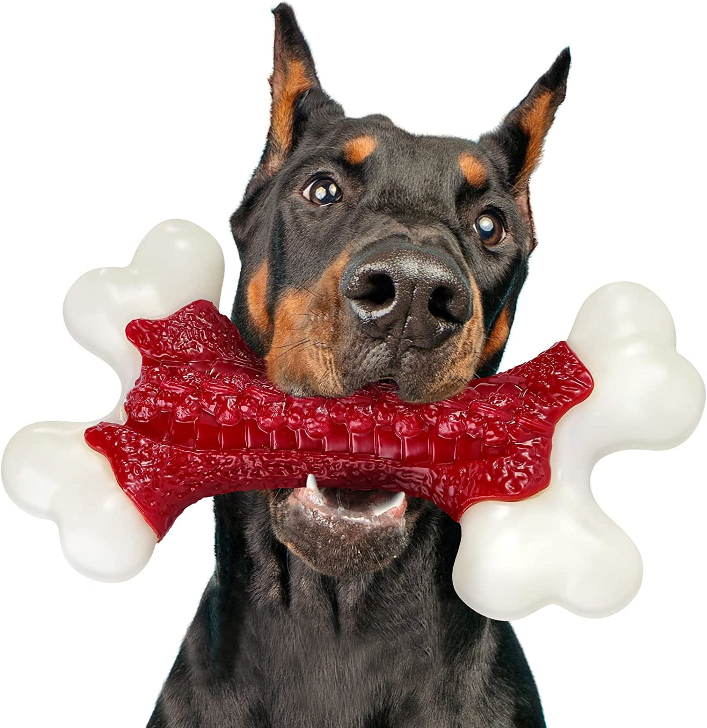 Tough Dog Toys, Toys for Aggressive Chewers Large Breed, Chew Dogs, Bone Toy Nylon Dogs Extreme Indestructible