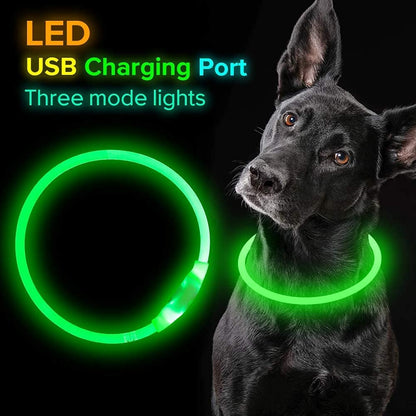 BSEEN LED Dog Collar, USB Rechargeable, Glowing Pet Dog Collar for Night Safety, Fashion Light up Collar for Small Medium Large Dogs（Orange）