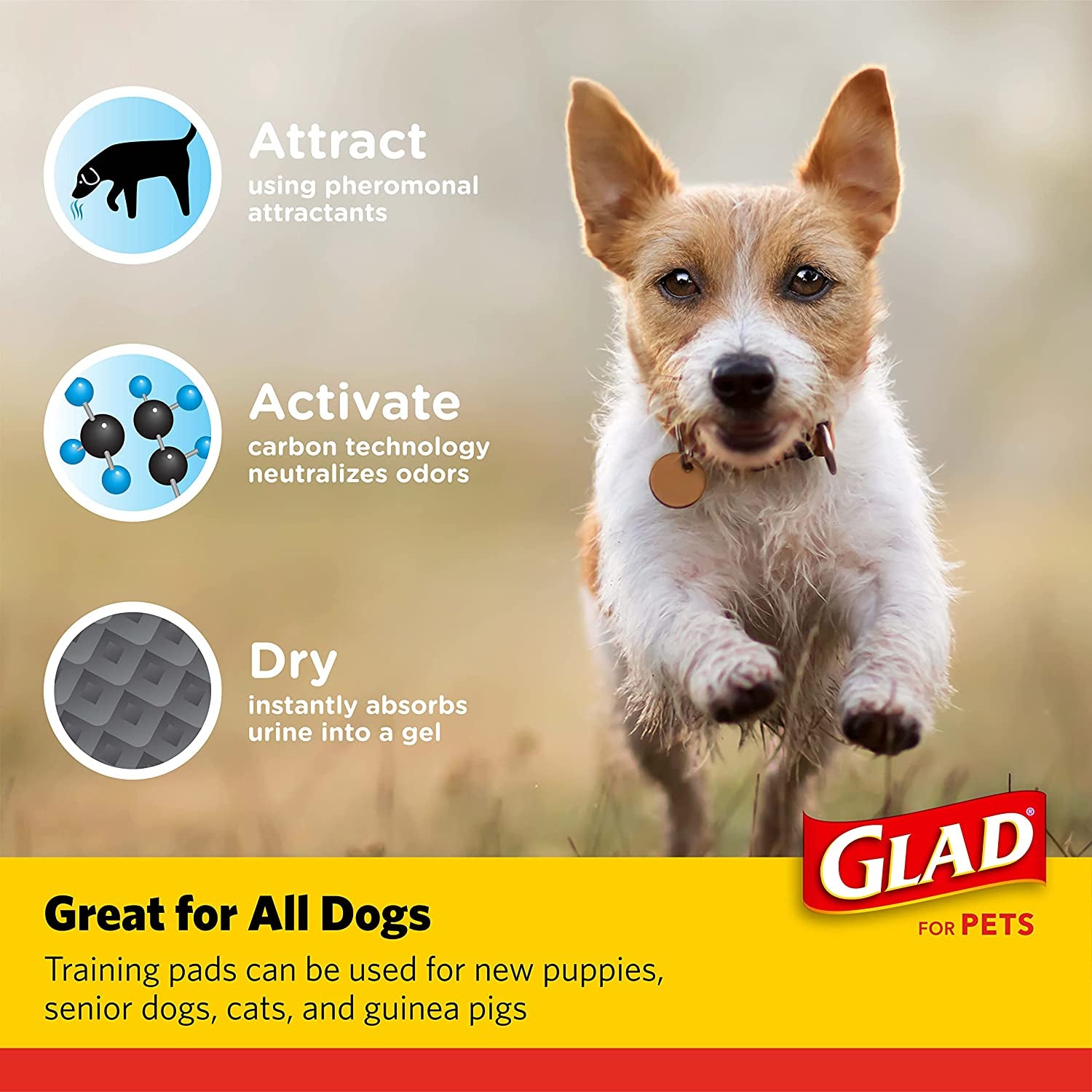 Glad for Pets Heavy Duty Activated Carbon Training Pads, 24" X 24" 100Ct | Ultra Absorbent Training Pads - Absorbs 50% More than Standard Pad in Same Size; Heavy Duty Puppy Potty Training Pads
