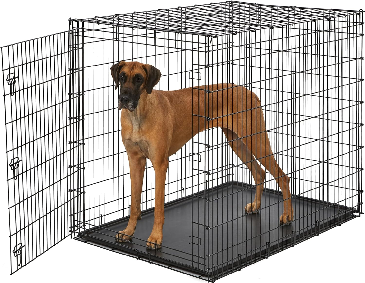 Midwest Homes for Pets Ginormous Single Door 54-Inch Dog Crate for XXL Dogs Breeds; Great Dane, Mastiff, St. Bernard, Drop Pin Assembly Requires Two People; Divider Panel Not Included; Black: SL54