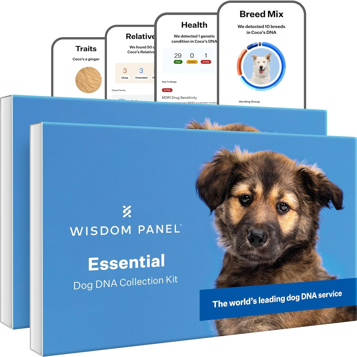 Wisdom Panel Essential Dog DNA Kit: Most Accurate Test for 365+ Breeds, 30 Genetic Health Conditions, 50+ Traits, Relatives, Ancestry - 2 Pack