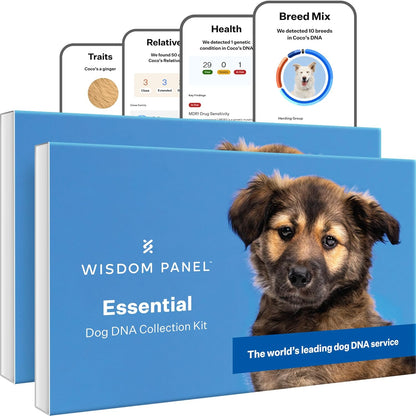 Wisdom Panel Essential Dog DNA Kit: Most Accurate Test for 365+ Breeds, 30 Genetic Health Conditions, 50+ Traits, Relatives, Ancestry - 2 Pack