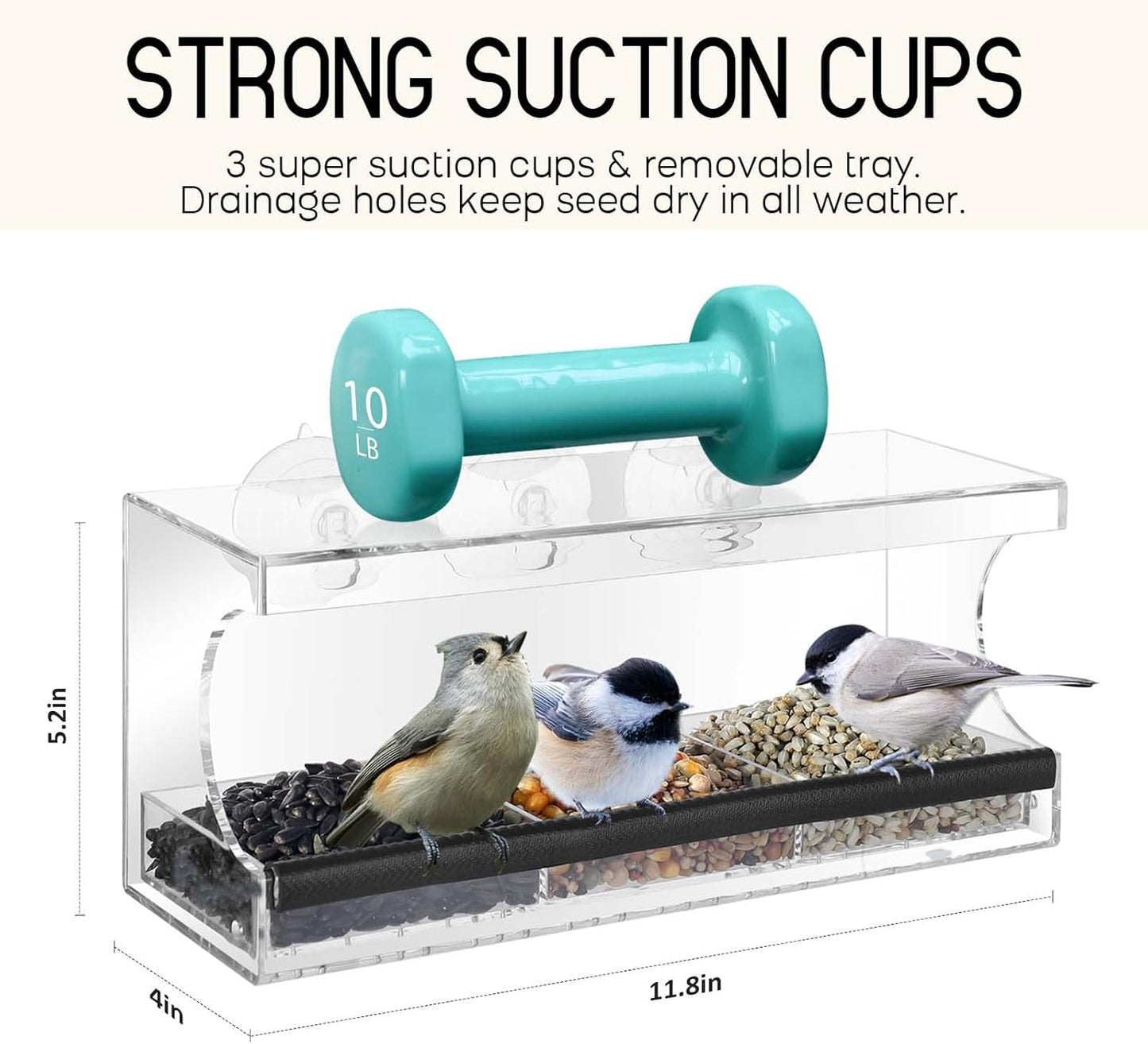 MrCrafts Window Bird Feeder for Outside with Strong Suction Cups, Fits for Cardinals, Finches, Chickadees etc