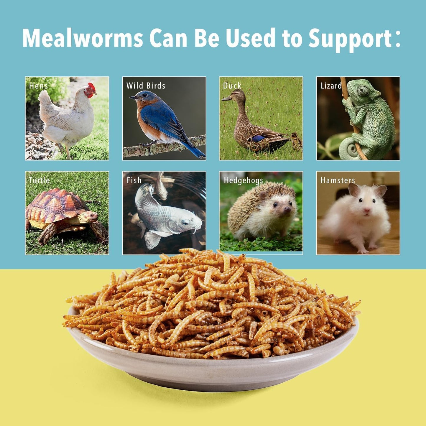 10lb Dried Mealworms for Wild Birds Premium Non-GMO Organic Chickens Feed, for Laying Hens,Ducks, Reptiles