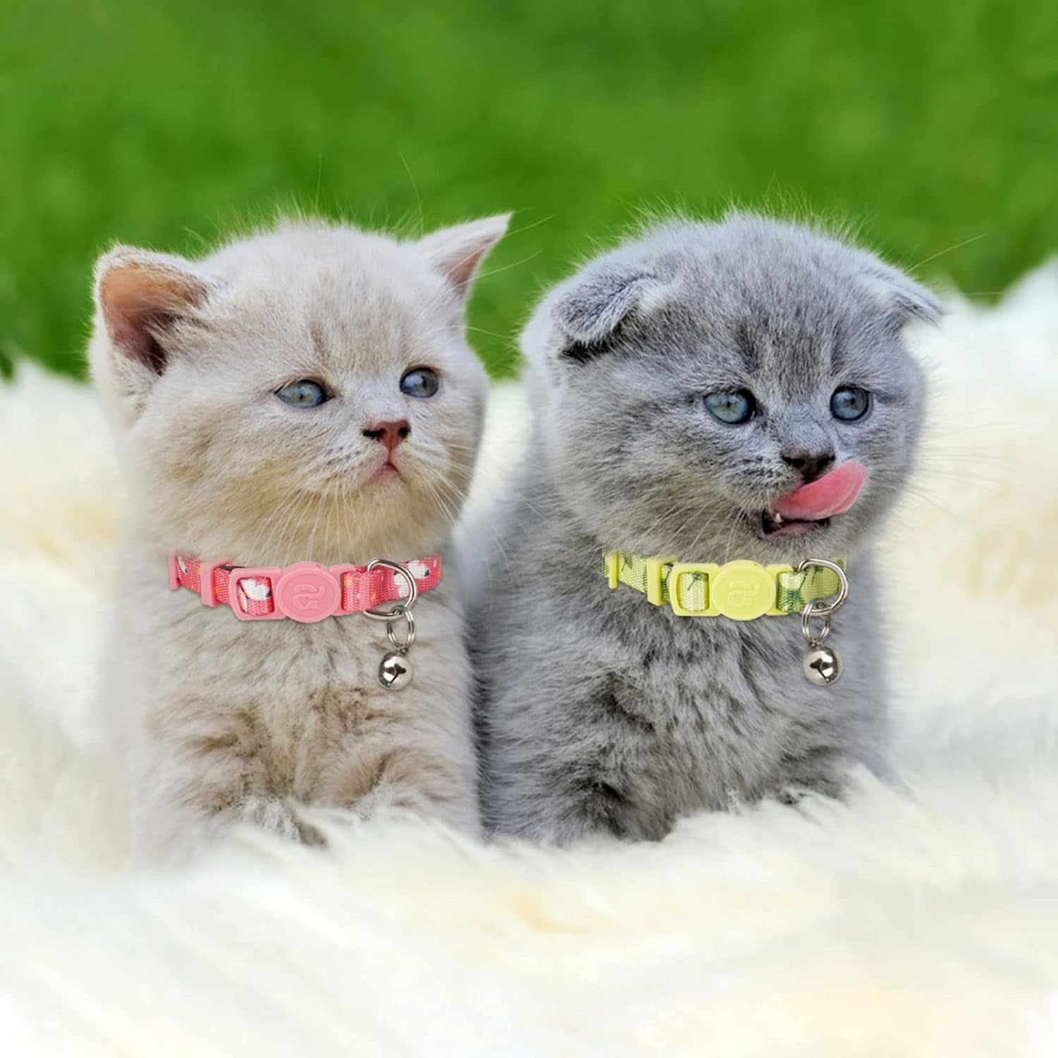 Azuza 4 Pack Cat Kitten Collar Breakaway with Bell Quick Release Safe Buckle Adjustable Cat Kitten Collar