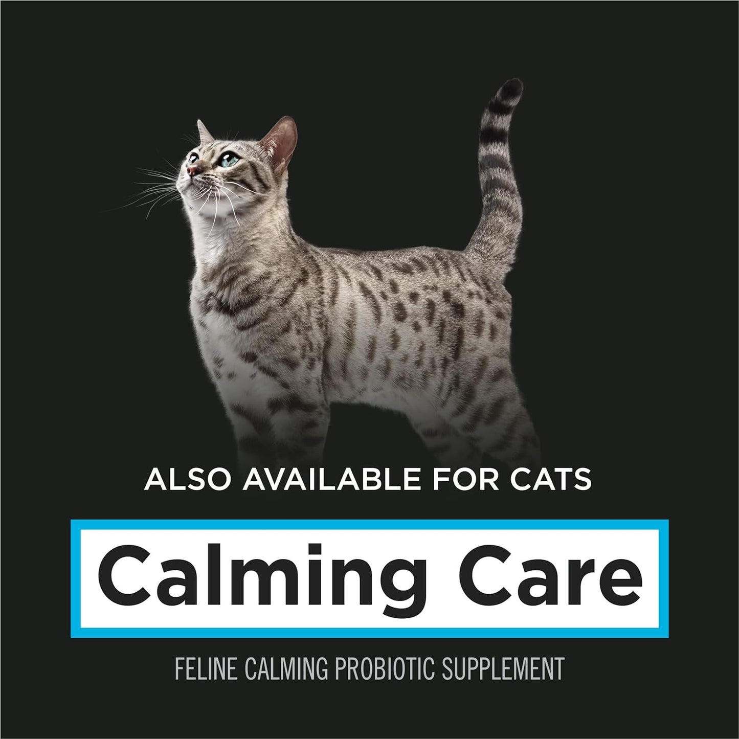 Purina Pro Plan Veterinary Supplements Calming Care - Calming Dog Supplements - 30 Ct. Box (Pack of 1)