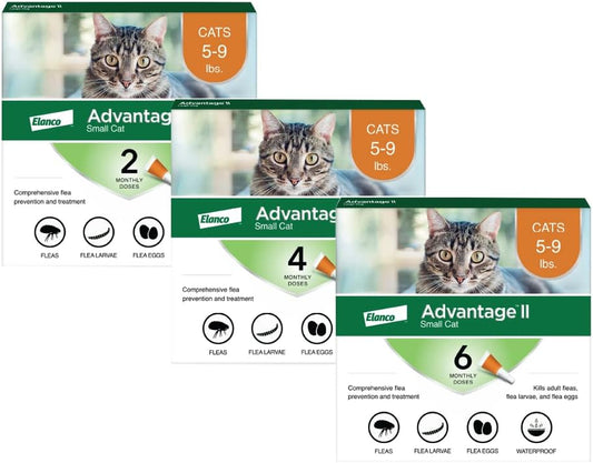 Advantage II Small Cat Vet-Recommended Flea Treatment & Prevention | Cats 5-9 Lbs. | 12-Month Supply