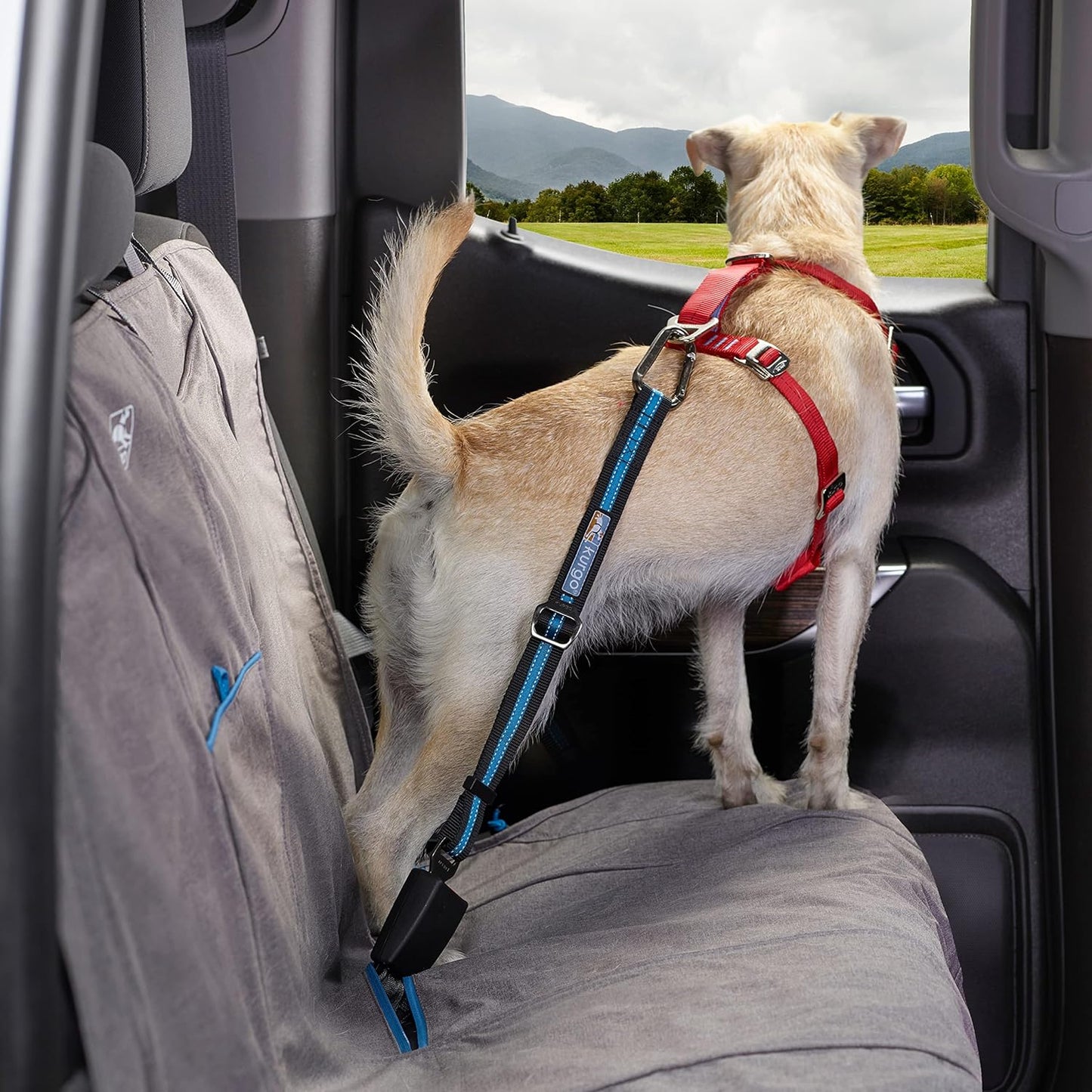 Kurgo Direct to Seat Belt Tether for Dogs, Universal Car Seat Belt for Pets, Adjustable Length Dog Safety Beltquick & Easy Installation, Carabiner Attachmentcompatible with Any Pet Harness |Blue