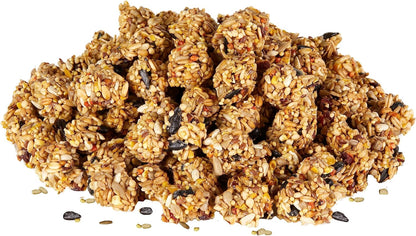 Kaytee Granola Bites with Superfoods Cranberry, Apple and Flax for Rats, Mice, Hamsters, Gerbils, Rabbits, Guinea Pigs and Chinchillas, 4.5 oz