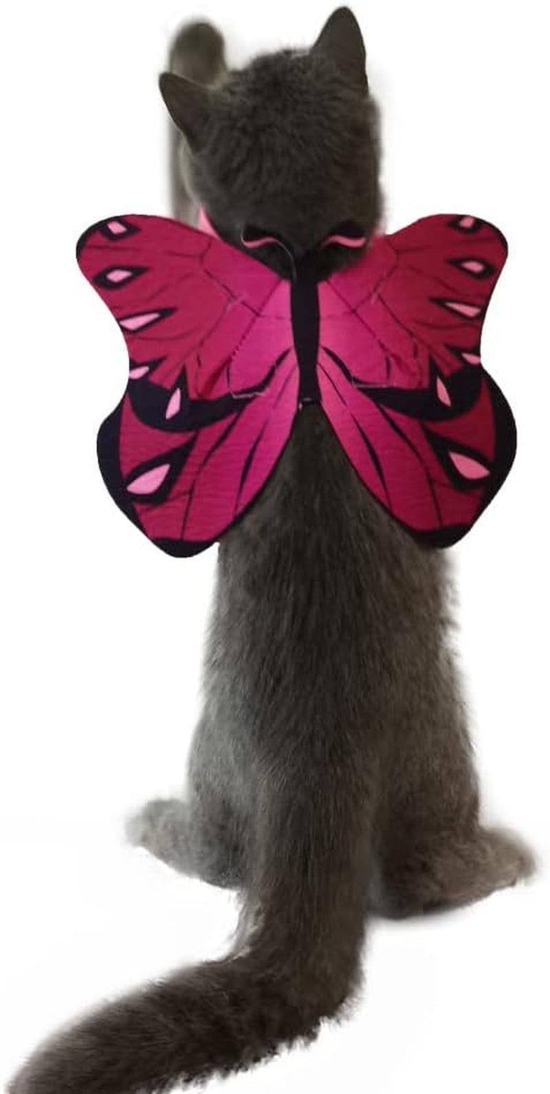 Cat Dog Butterfly Costume Wings for Halloween Party Decoration, Halloween Dog Cat Costume, Puppy Cat Dress up Accessories