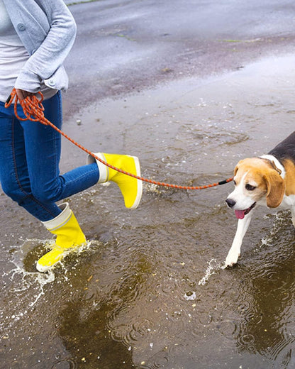 Long Rope Leash for Dog Training 10FT 16FT 30FT 50FT 100FT, Reflective Threads Check Cord Recall Training Dog Lead for Large Medium Small Dogs, Dog Tie-Out Cable for Playing, Camping, or Yard