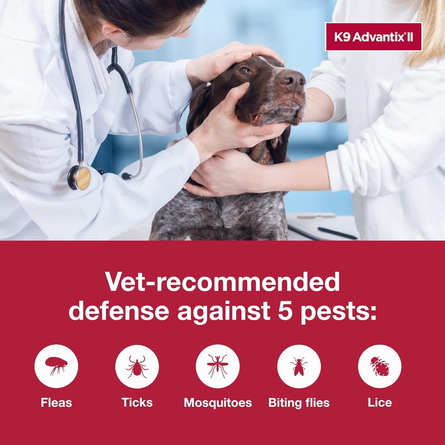 K9 Advantix II XL Dog Vet-Recommended Flea, Tick & Mosquito Treatment & Prevention | Dogs over 55 Lbs. | 2-Mo Supply