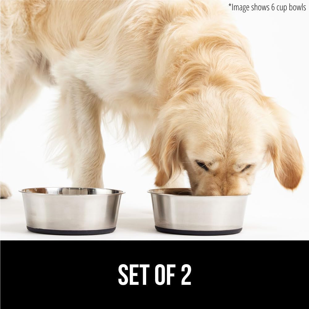 Gorilla Grip Stainless Steel Metal Dog Bowl Set of 2, Rubber Base, Heavy Duty, Rust Resistant, Food Grade BPA Free, Less Sliding, Quiet Pet Bowls for Cats and Dogs, Holds 2 Cups (16 Fl Oz), Green