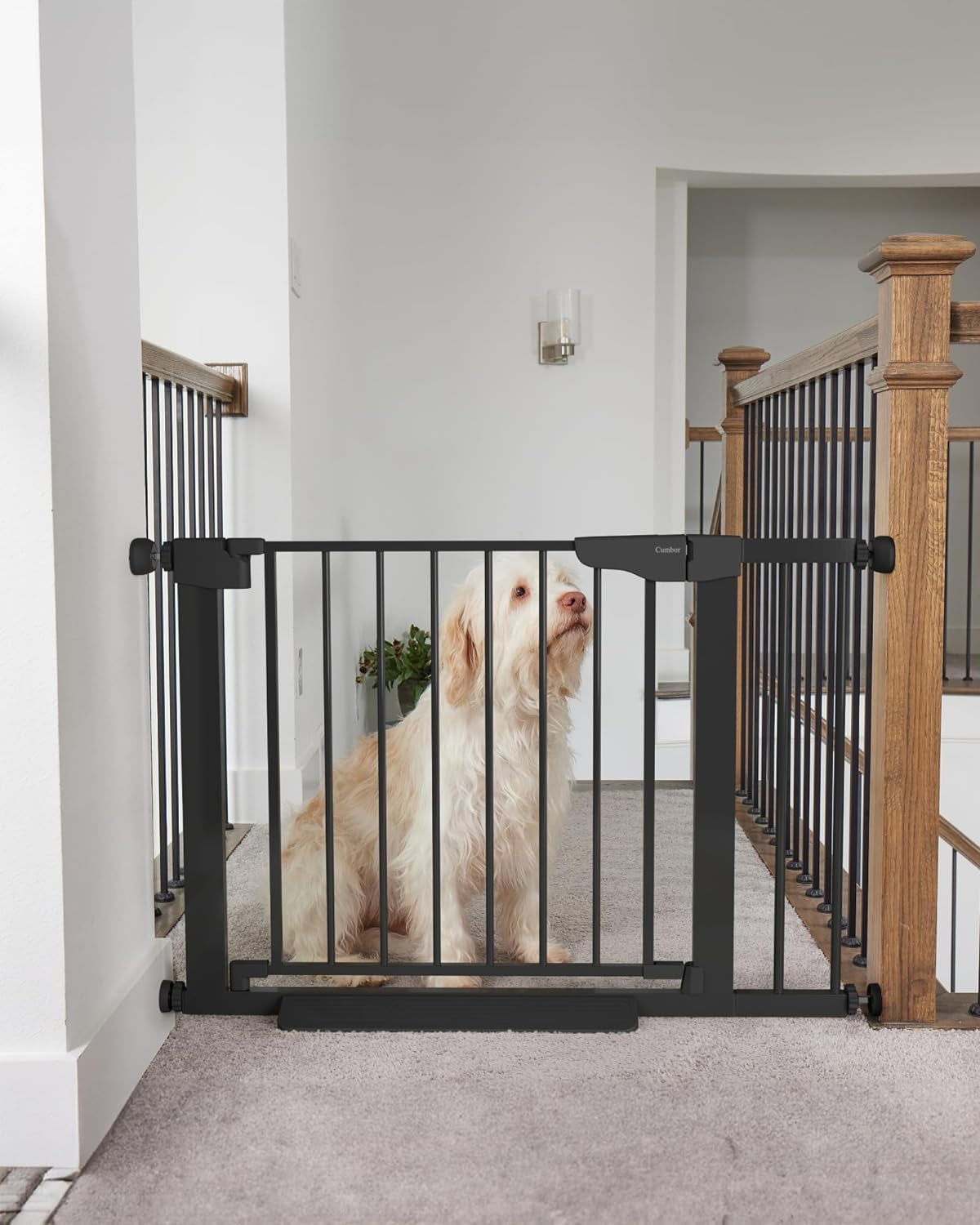 Cumbor 29.7-46" Wide Extra Tall Safety Dog and Baby Gate, 36" Tall Pressure Mounted Auto Closed Pet Gate for Stairs,Doorway, Easy Walk Thru Child Gate for the House, White, Mom'S Choice Awards Winner