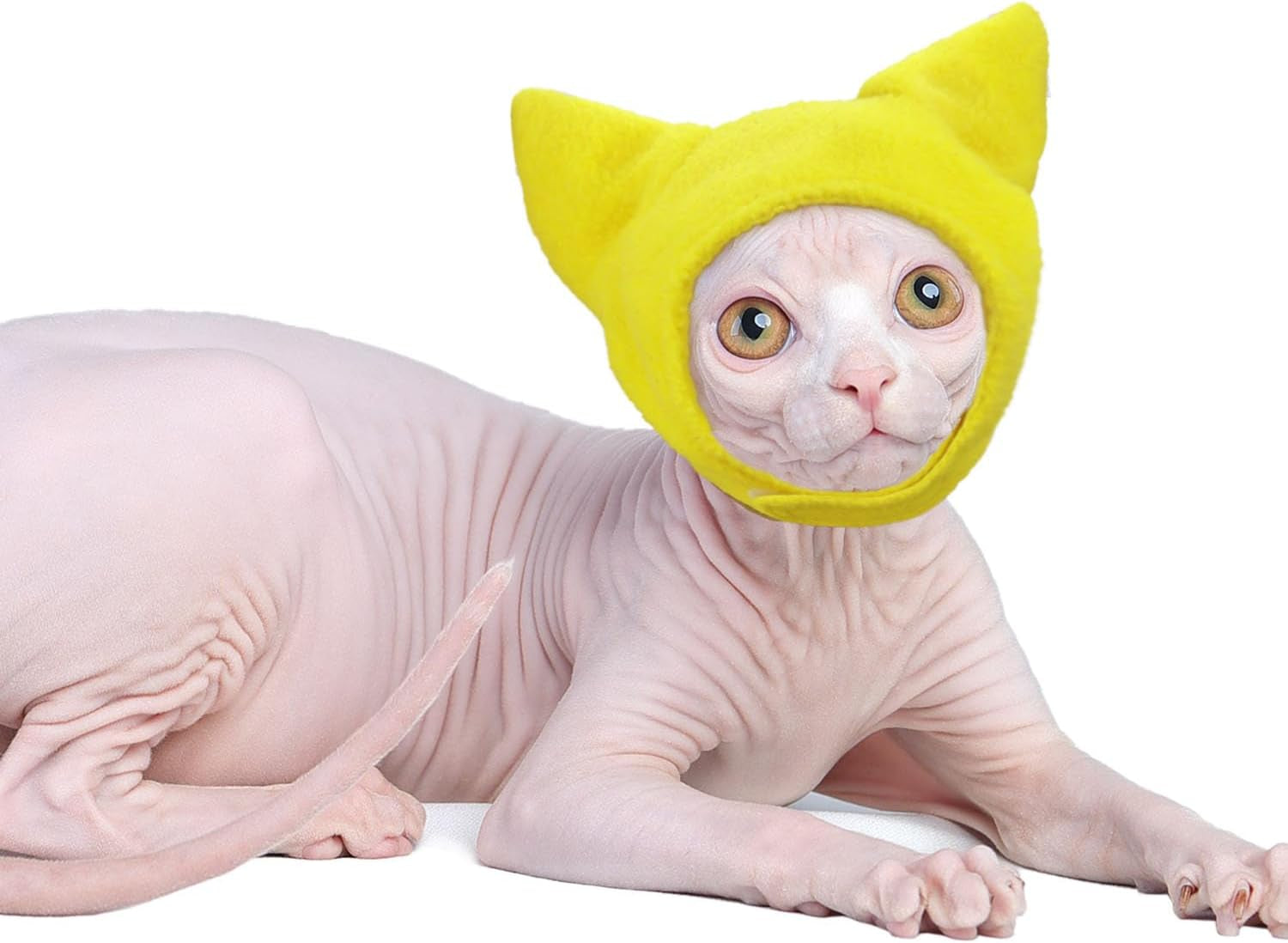 Sphynx Cat Hat Ear Protector Cat Covering Ears Hat for Hairless Cats Hat Head Protector