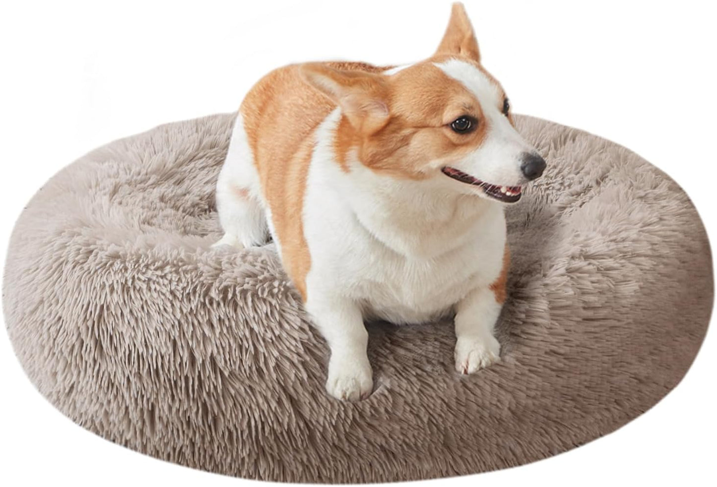 Cat Beds for Indoor Cats,24 Inch Dog Bed for Small Melium Large Dogs, Washable-Round Pet Bed for Puppy and Kitten with Slip-Resistant Bottom