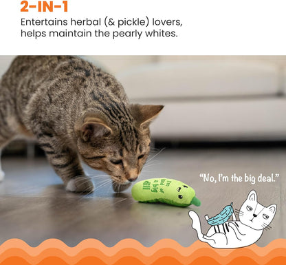 Catstages Lil' Avocato Dental Health Catnip Cat Chew Toy