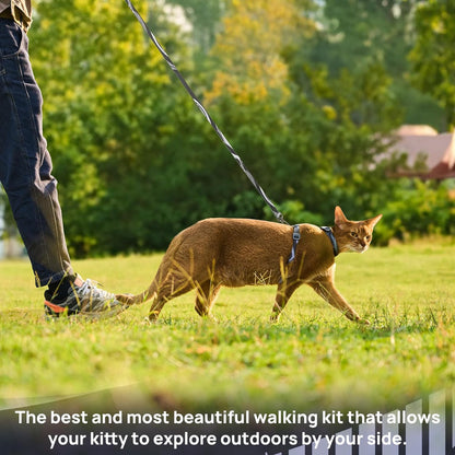 Cat Harness and Leash Set - Escape Proof Adjustable Cat Harness, Comfortable Soft Lightweight, Use Safe & Easy, Walking Travel Kitten Harness for Small Medium Large Cats (Brooklyn Grey)