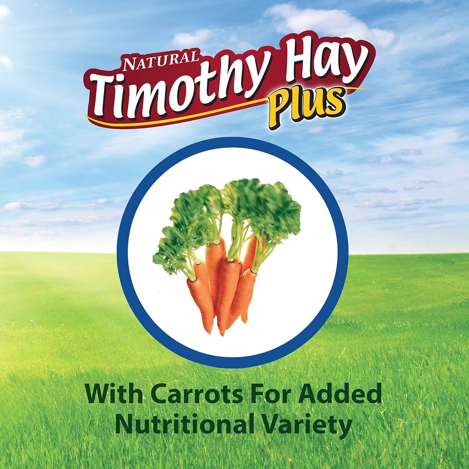 Kaytee Timothy Hay Plus Carrots for Pet Guinea Pigs, Rabbits & Other Small Animals, 24 oz