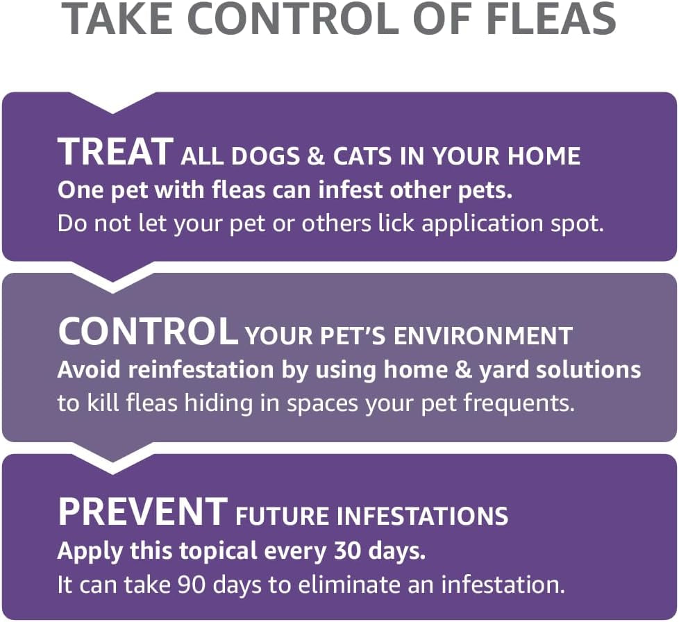 Amazon Basics Flea Topical for Large Cats (Over 9 Pounds), 4 Count (Previously Solimo)