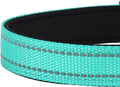 Reflective Dog Collar, Adjustable Soft Neoprene Padded Nylon Pet Collars with Buckle for Medium Dogs, Teal,M