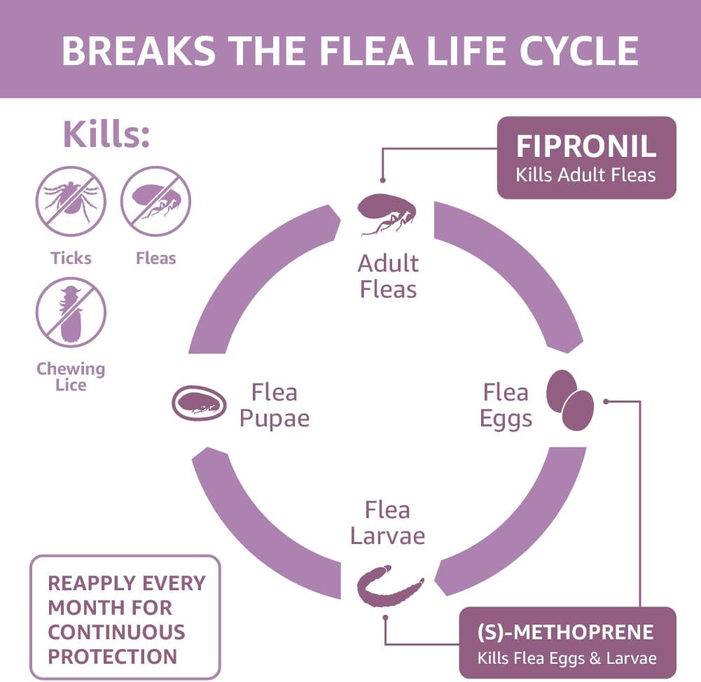 Amazon Basics Flea and Tick Topical Treatment for Large Dogs (45-88 Lbs), Unscented, 6 Count (Previously Solimo)