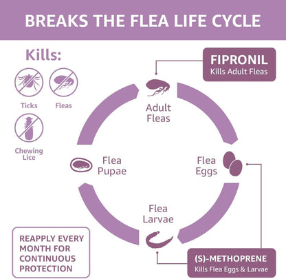 Amazon Basics Flea and Tick Topical Treatment for Large Dogs (45-88 Lbs), Unscented, 6 Count (Previously Solimo)