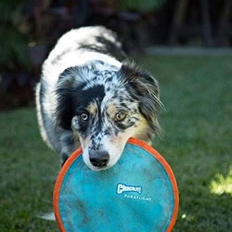 Chuckit! Paraflight Flying Disc Dog Toy, Small (6.75"), Orange and Blue