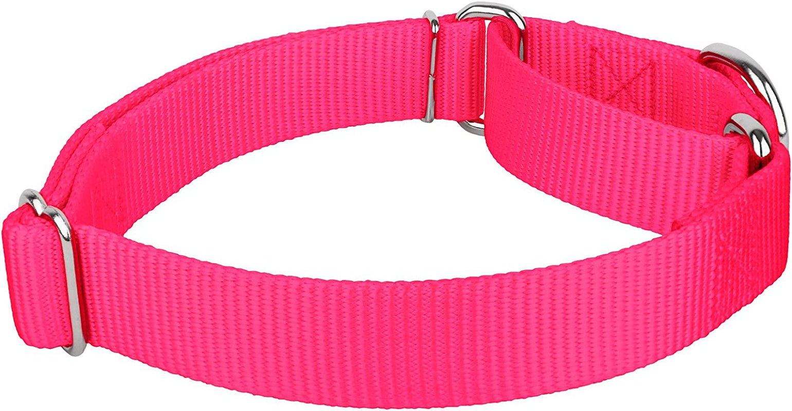 Country Brook Design - Coyote Tan Martingale Heavy Duty Nylon Dog Collar - 21 Vibrant Color Options (3/4 Inch Width, Small)